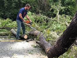 Best Utility Line Clearance  in Montesano, WA