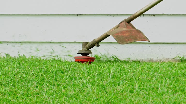 Best Artificial Turf Installation  in Montesano, WA