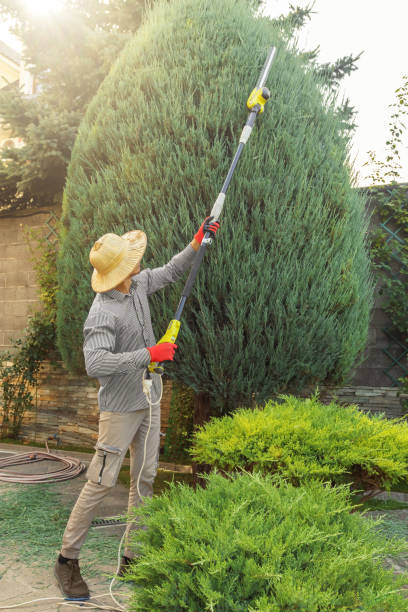 Best Lawn Watering Services  in Montesano, WA